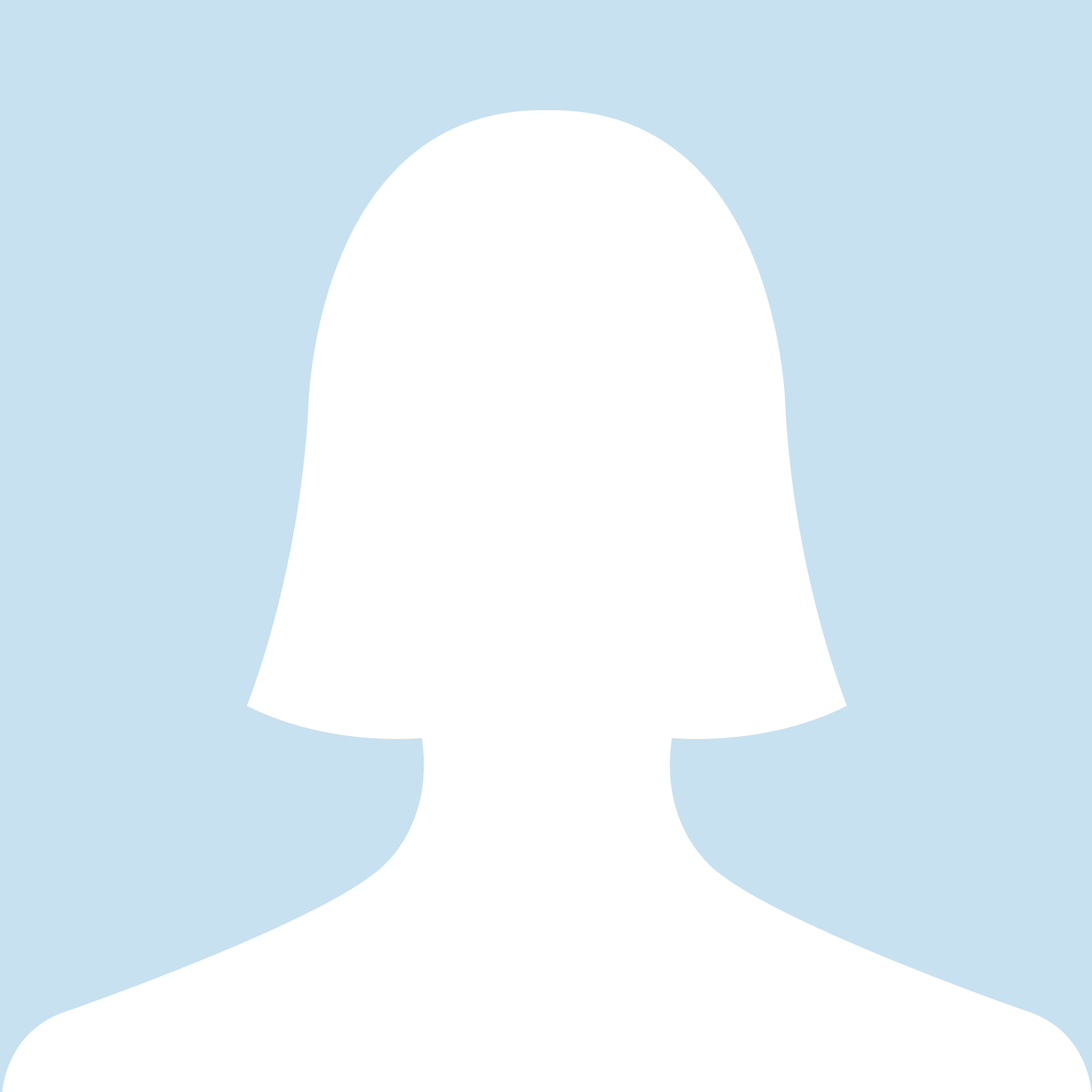 Плясова Светлана Владимировна.